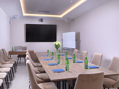 Санаторий «Плаза» г. Кисловодск. Конференц зал